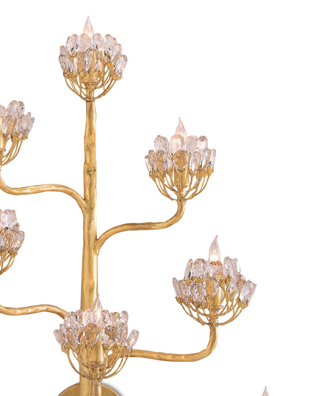 Agave Americana Gold Wall Sconce