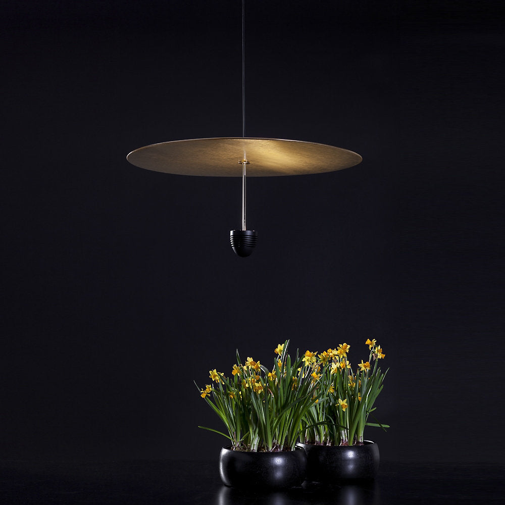 Skyfall LED C4 Pendant