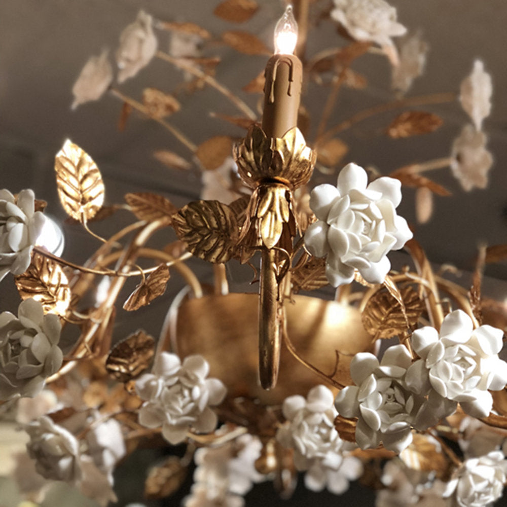 Queensland Chandelier