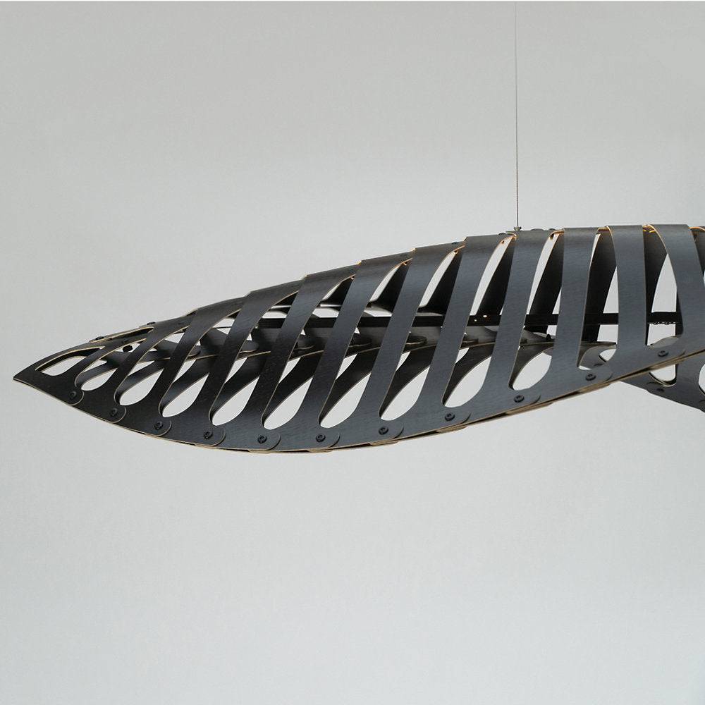 Navicula Pendant Light