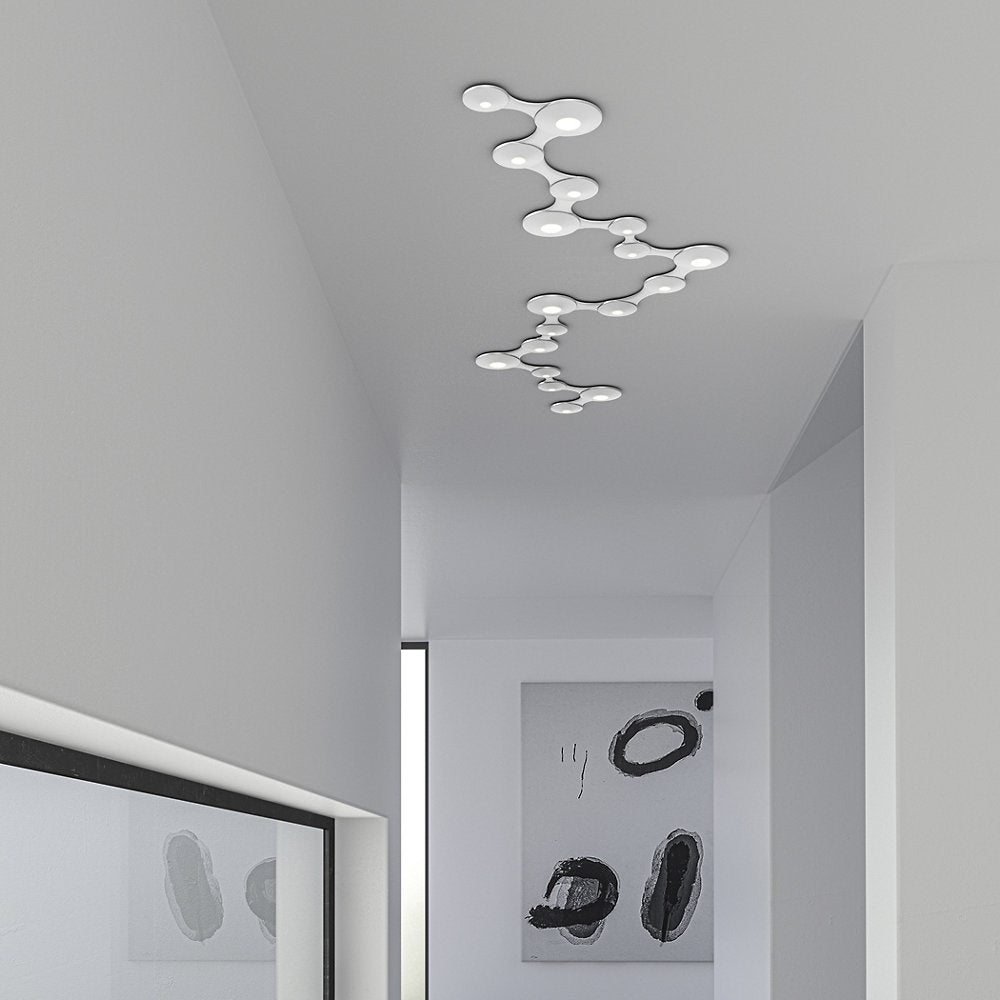 Coral Surface Luminaire LED Wall / Flushmount