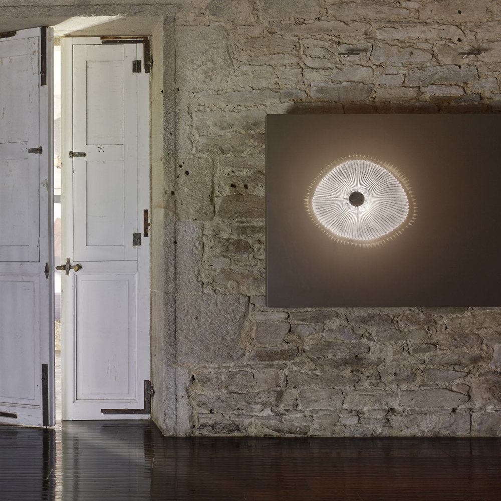 Onn Wall / Ceiling Light