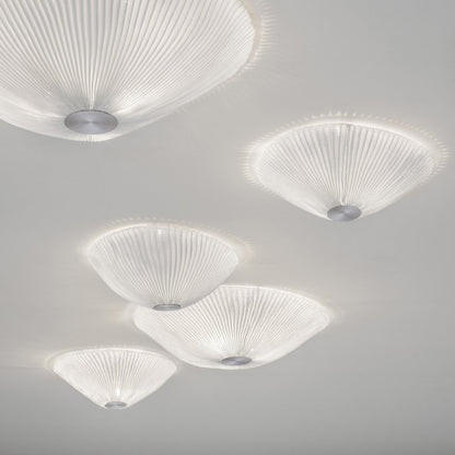 Onn Wall / Ceiling Light