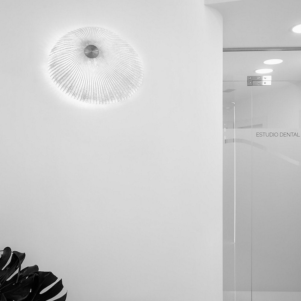 Onn Wall / Ceiling Light