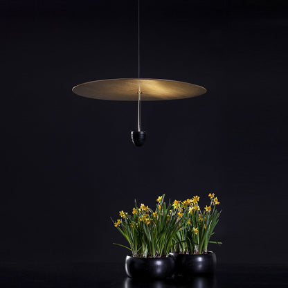 Skyfall LED C4 Pendant