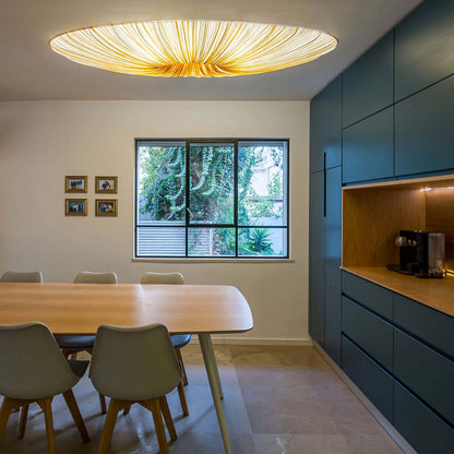 Liana Wall / Flushmount