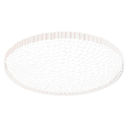 Calipso Wall / Ceiling Light