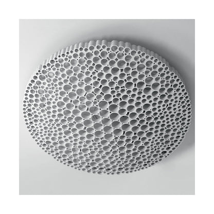 Calipso Wall / Ceiling Light