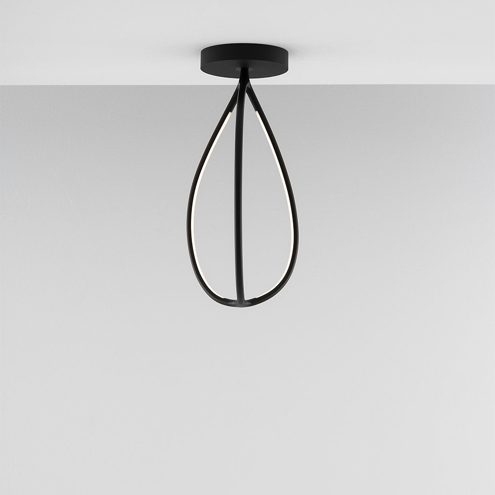 Arrival LED Wall / Flushmount