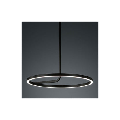 Hoopla LED 277v Pendant