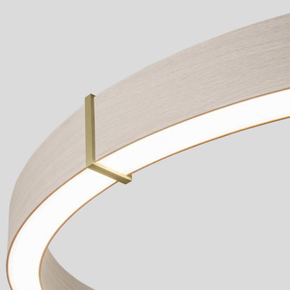 Redeo LED Pendant