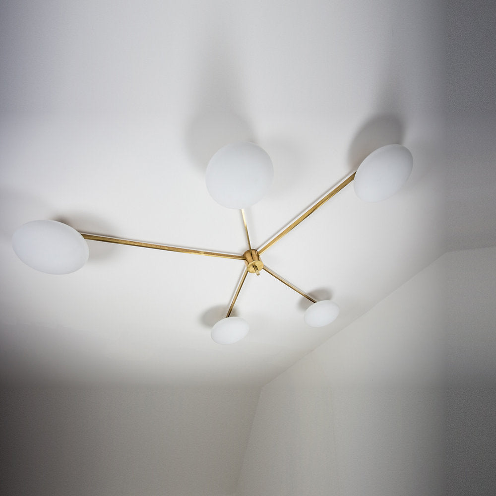 Stella Starfish Wall / Ceiling Light
