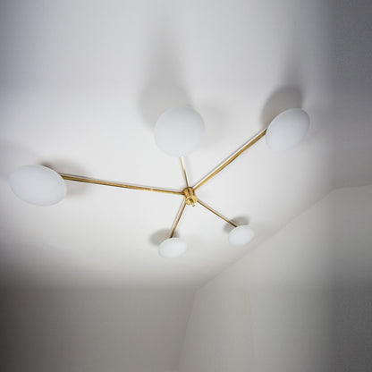 Stella Starfish Wall / Ceiling Light