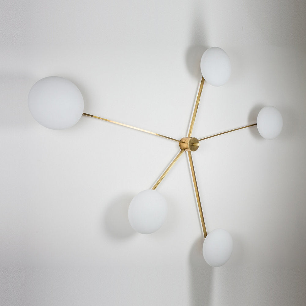 Stella Starfish Wall / Ceiling Light