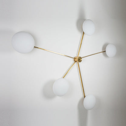 Stella Starfish Wall / Ceiling Light
