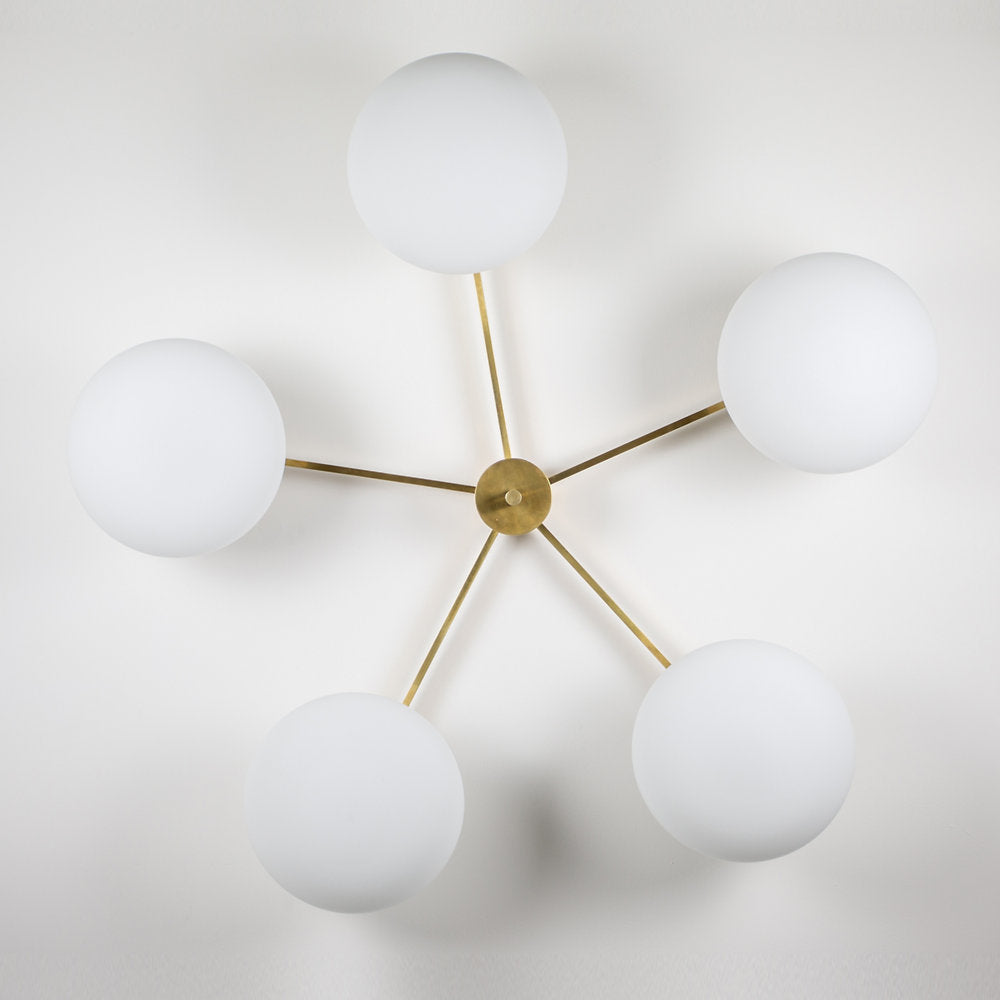 Stella Daisy Wall / Ceiling Light