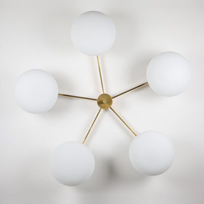 Stella Daisy Wall / Ceiling Light