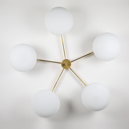 Stella Daisy Wall / Ceiling Light