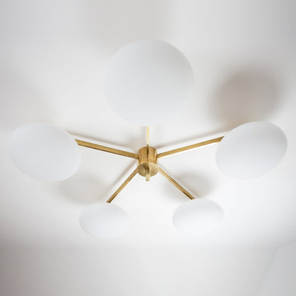 Stella Daisy Wall / Ceiling Light