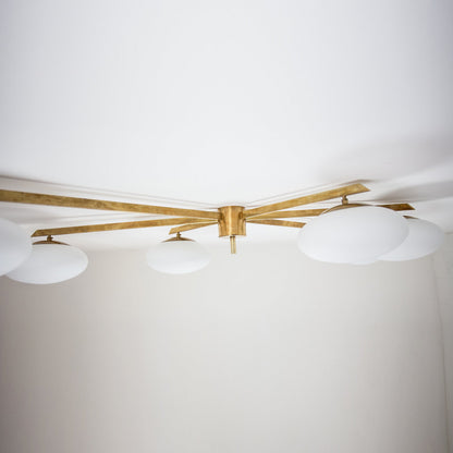 Stella Tribute Wall / Ceiling Light