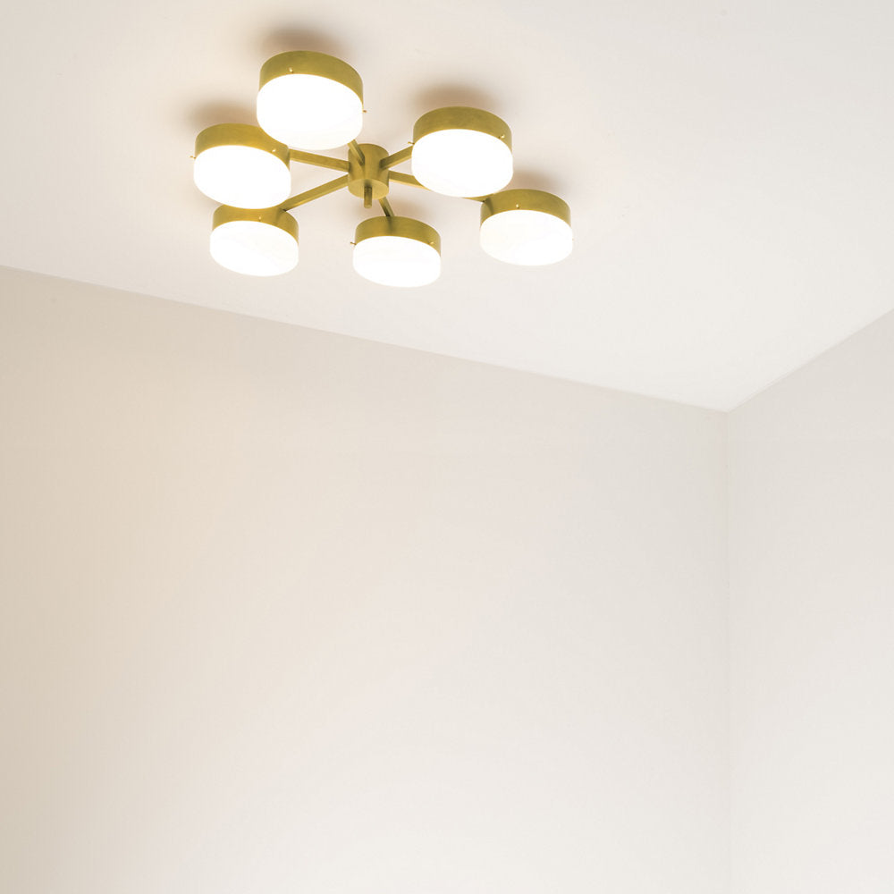Celeste Phosphenes Wall / Flushmount