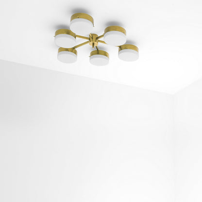 Celeste Phosphenes Wall / Flushmount