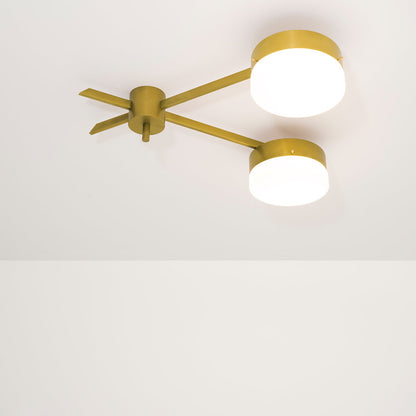 Celeste Serendipity Wall / Semi-Flushmount
