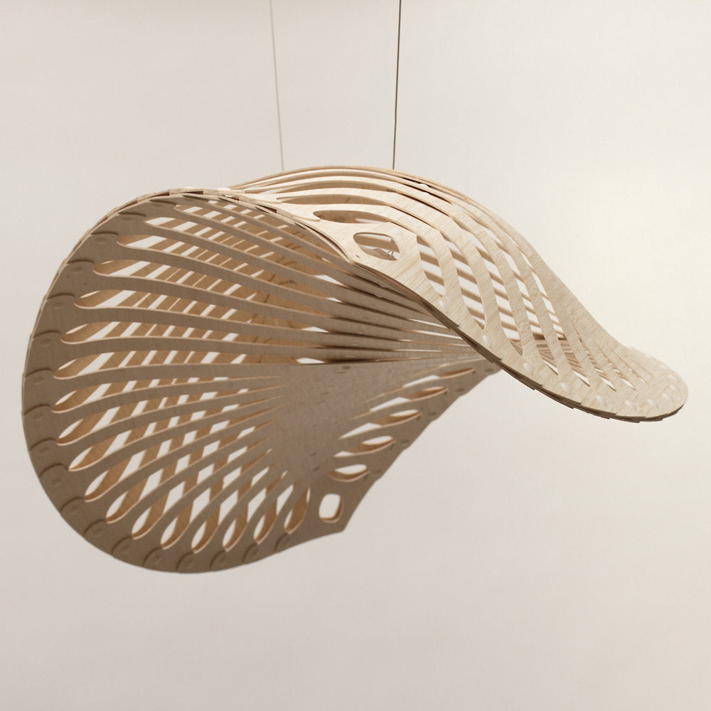 Navicula Pendant Light