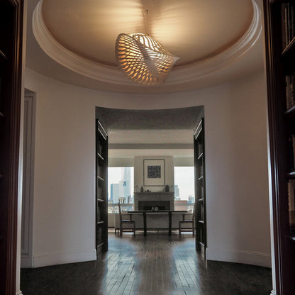 Navicula Pendant Light