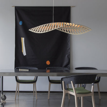 Navicula Pendant Light