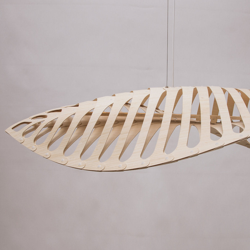 Navicula Pendant Light