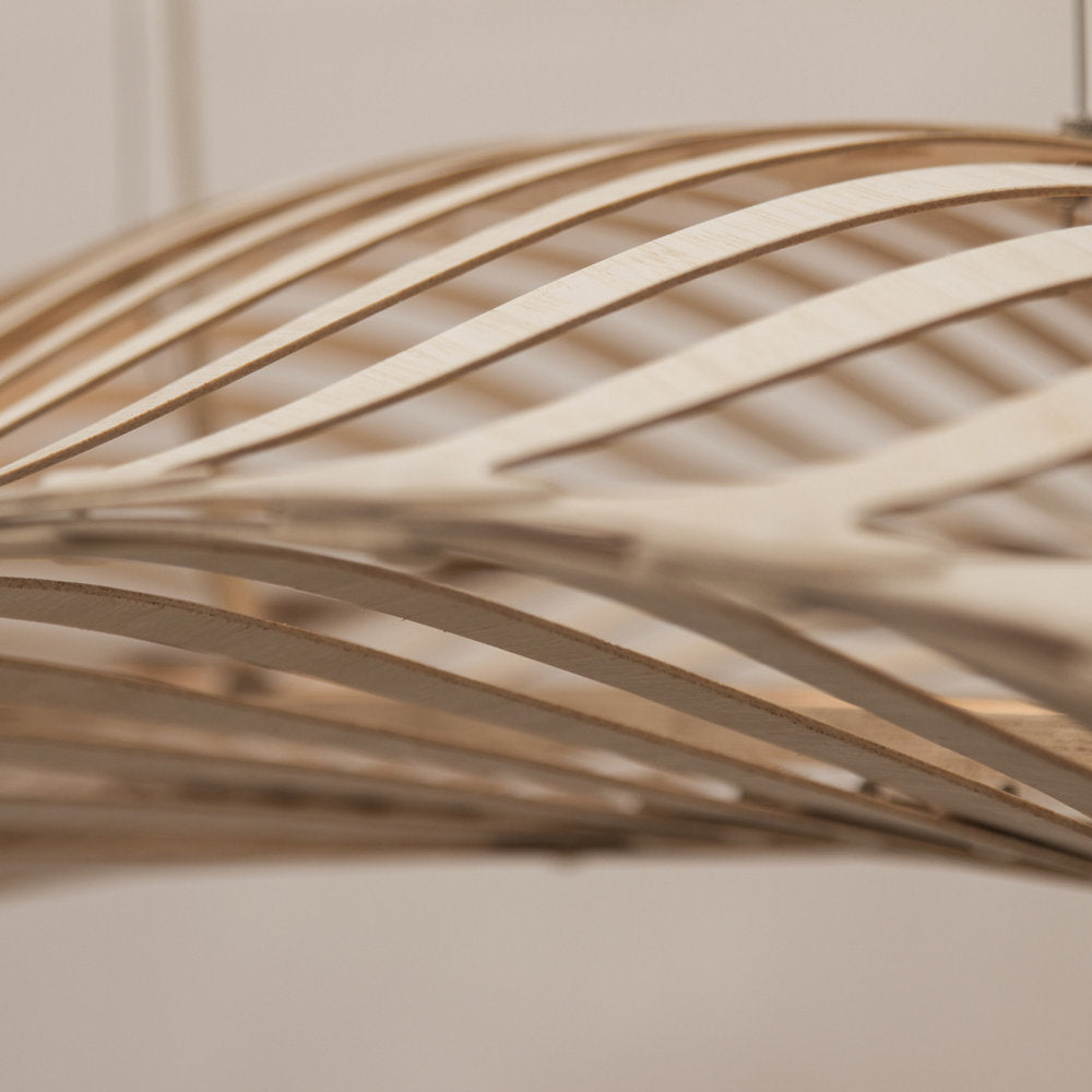 Navicula Pendant Light