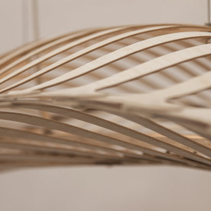 Navicula Pendant Light