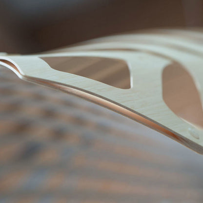 Navicula Pendant Light