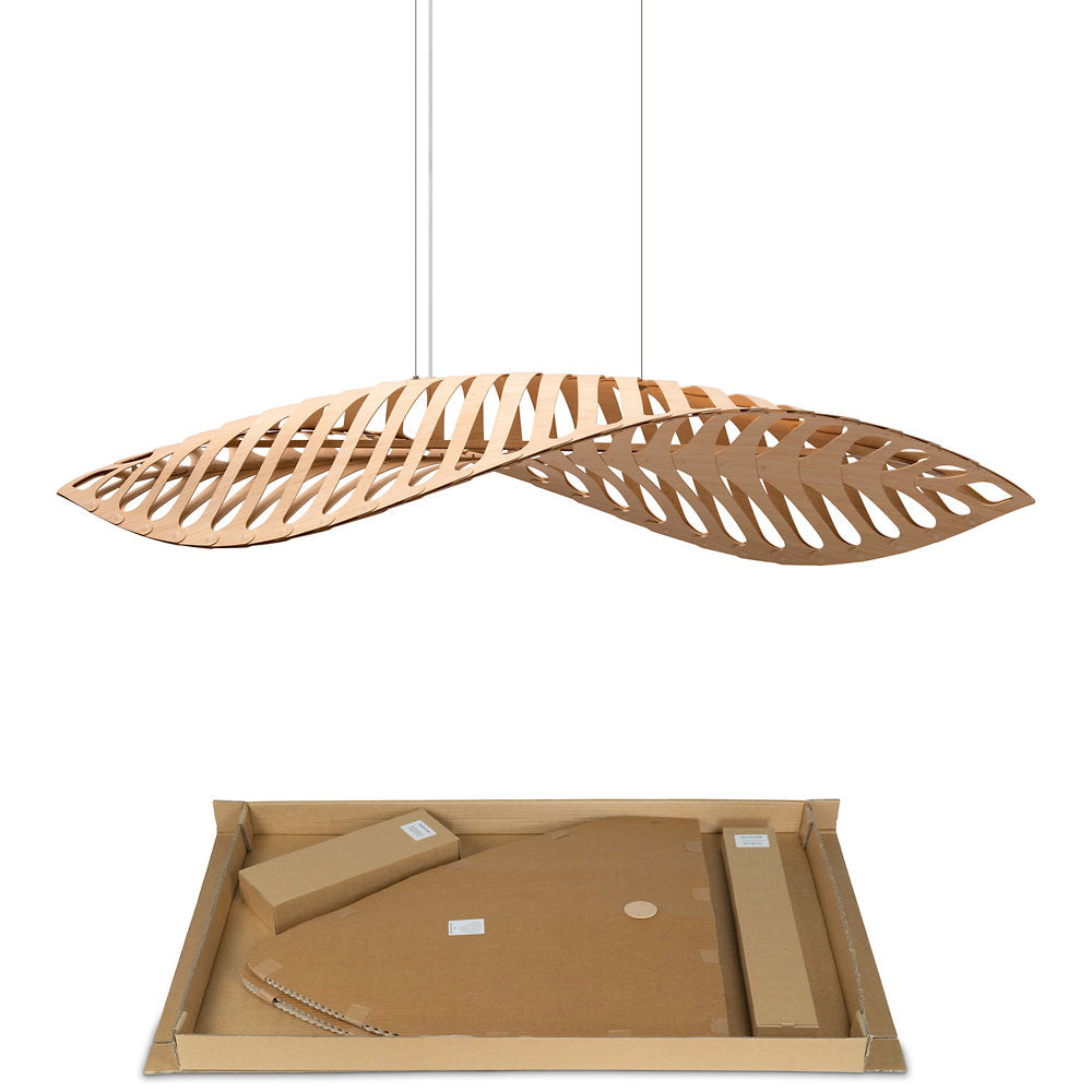 Navicula Pendant Light