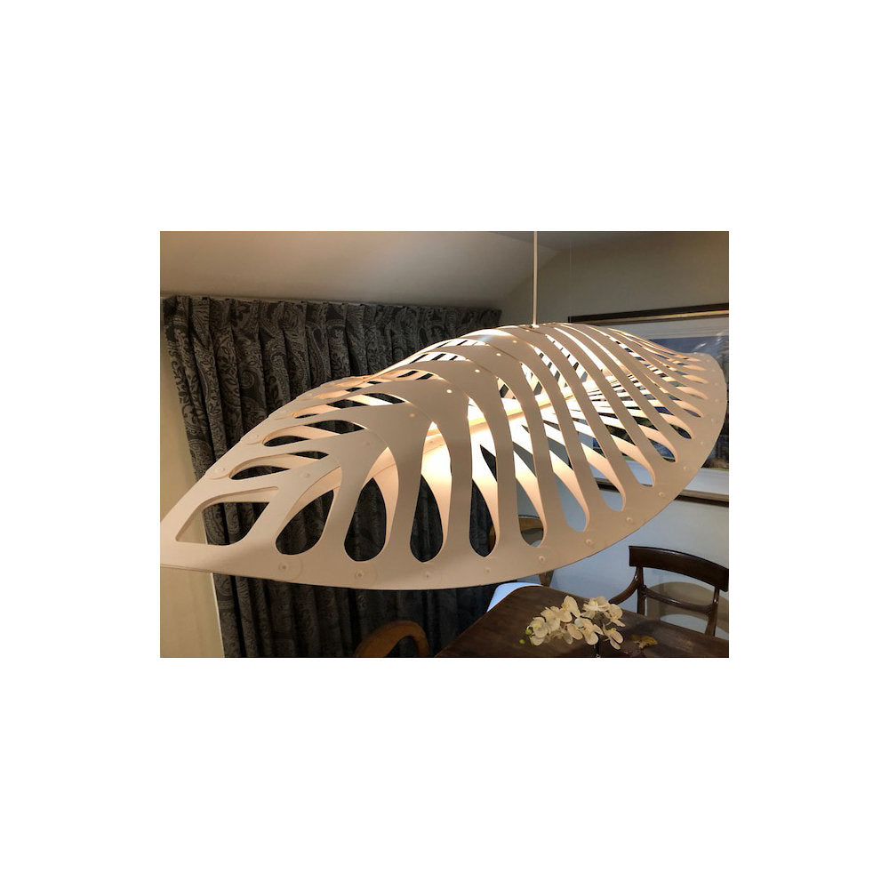 Navicula Pendant Light