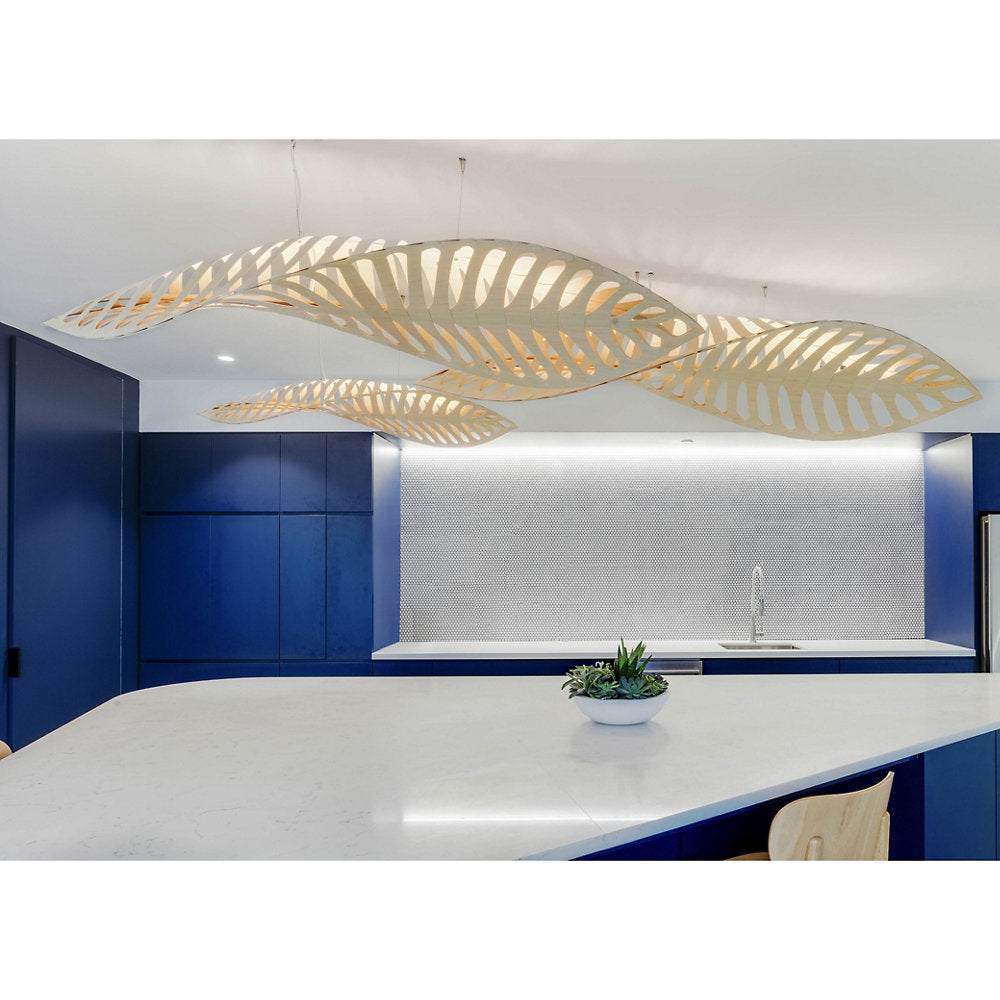 Navicula Pendant Light