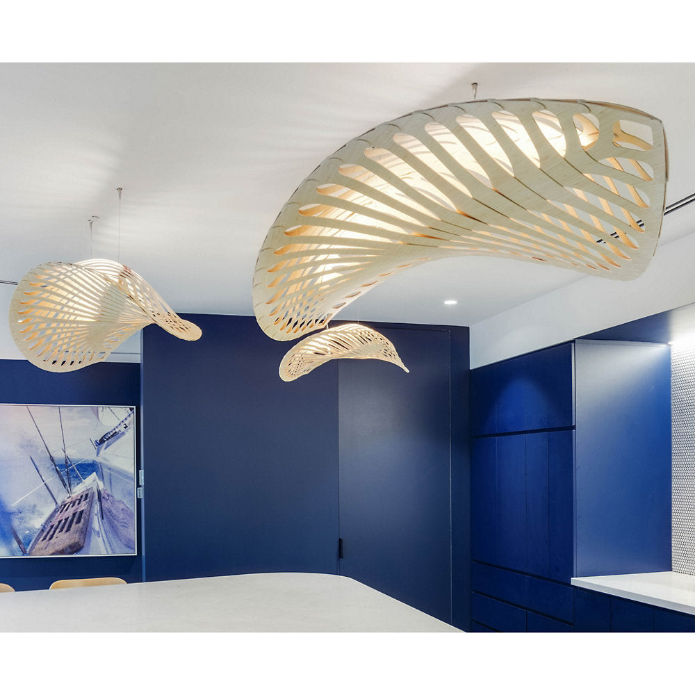 Navicula Pendant Light