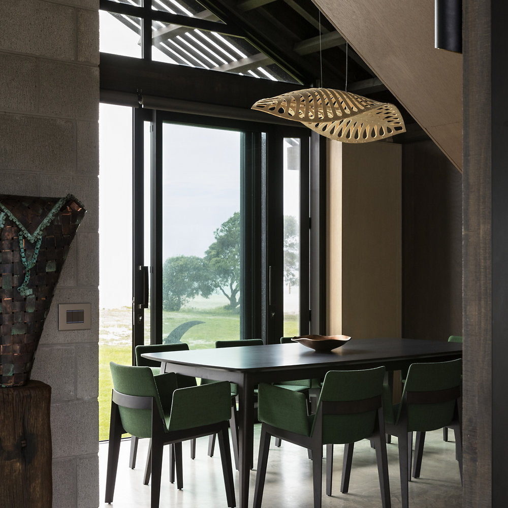 Navicula Pendant Light
