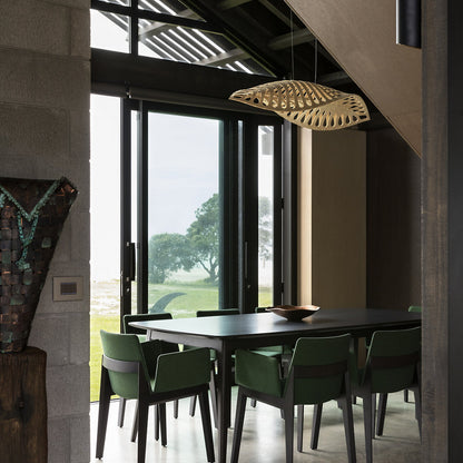 Navicula Pendant Light