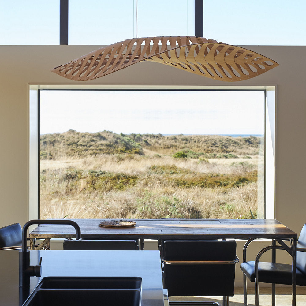 Navicula Pendant Light