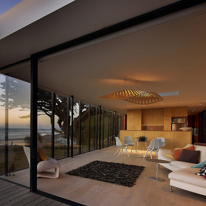 Navicula Pendant Light