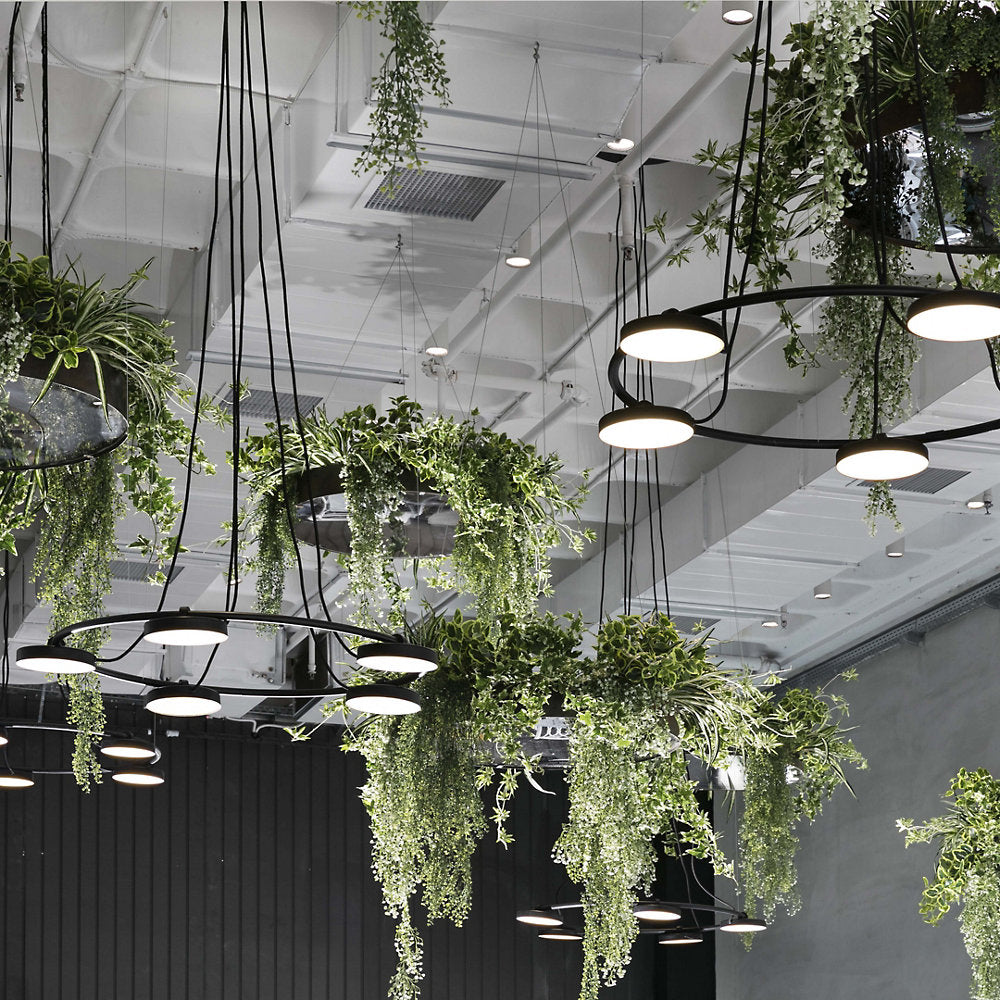 Aro LED Chandelier