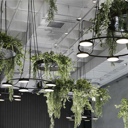 Aro LED Chandelier