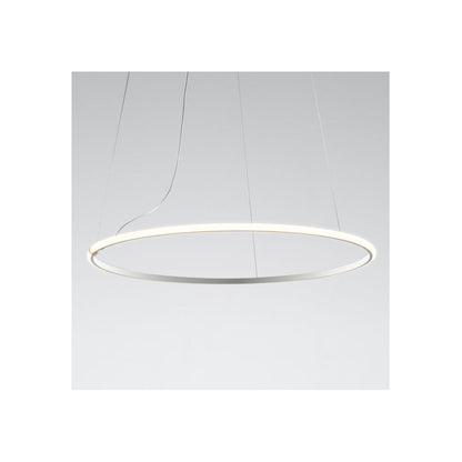 Olympic F45 Pendant