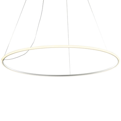 Olympic F45 Pendant