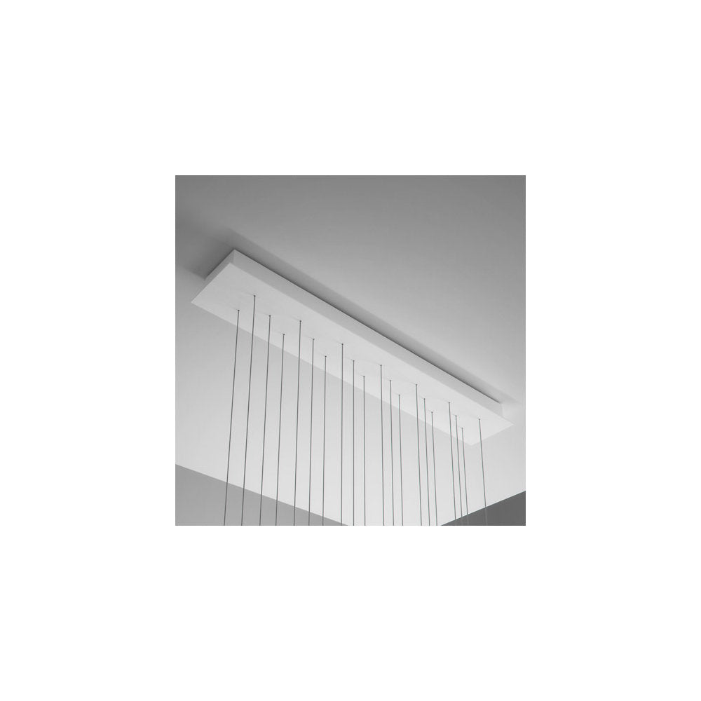 Beluga Multispot 20-Light Rectangular Pendant