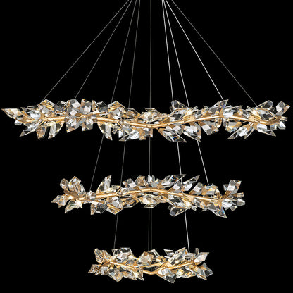 Foret Chandelider