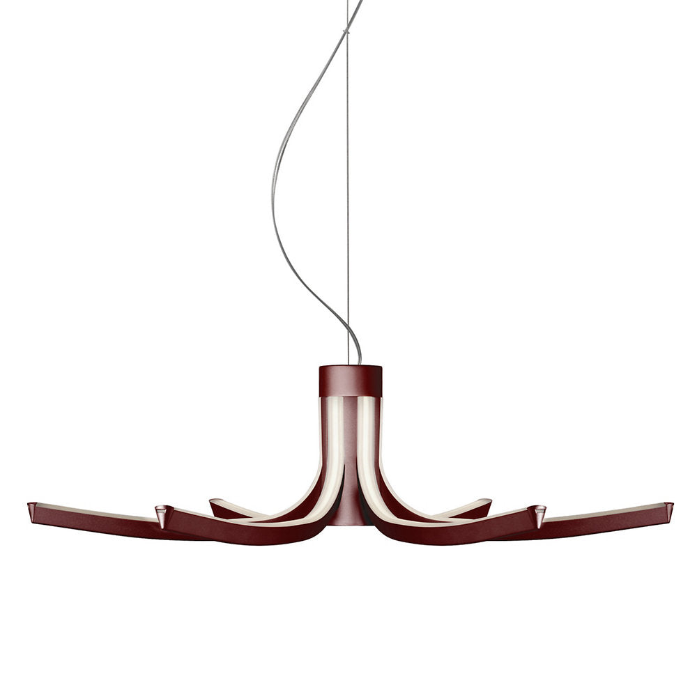 Asteria LED Chandelier