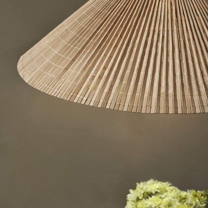 1972 Pendant